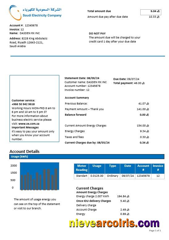 Saudi Arabia Saudi Electricity Company electricity business utility bill